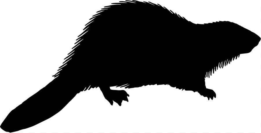 900x460 Beaver Silhouette Royalty Free Clip Art