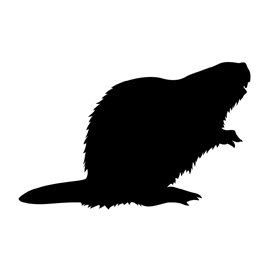 270x270 Beaver Silhouette Stencil Free Stencil Gallery