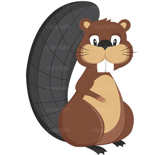 564x536 Animal Clipart Beavers
