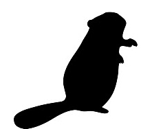 205x188 Faq's Worth A Dam