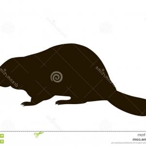 300x300 Stock Illustration Silhouette Sitting Beaver Vector Image