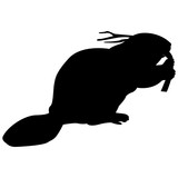 160x160 Vector Image Of A Silhouette Of A Beaver On A White Background