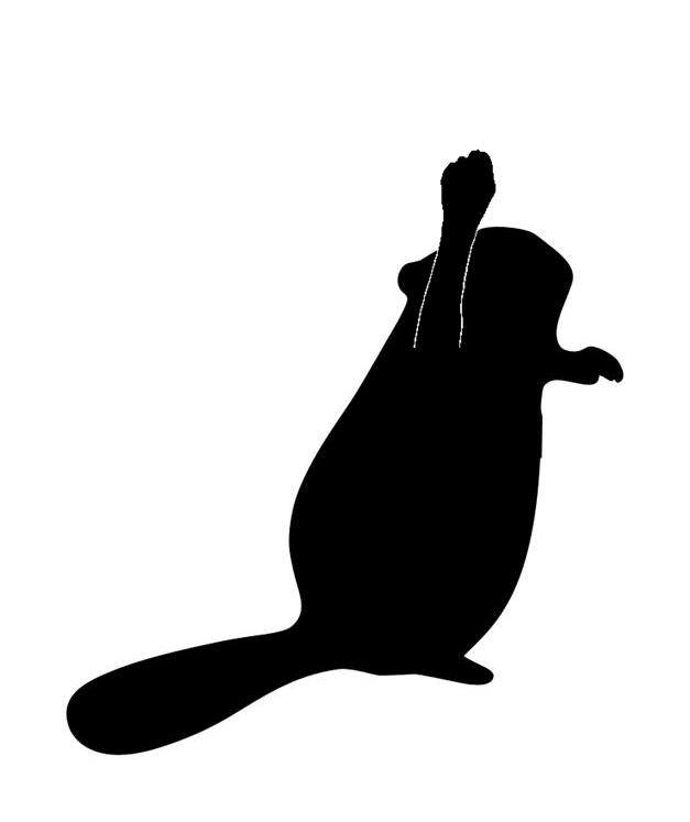 627x747 Beaver Power Worth A Dam