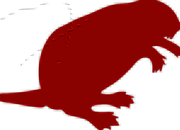 595x429 Beaver, Work, Outline, Drawing, Sketch, Silhouette, Wild, Art