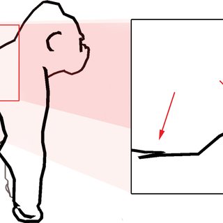 320x320 The Effect Of Removing Details. In This Image, Silhouettes