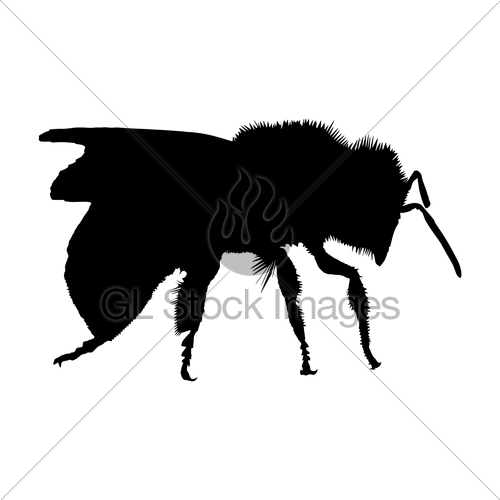 500x500 Silhouette Of A Bee On White Background Gl Stock Images