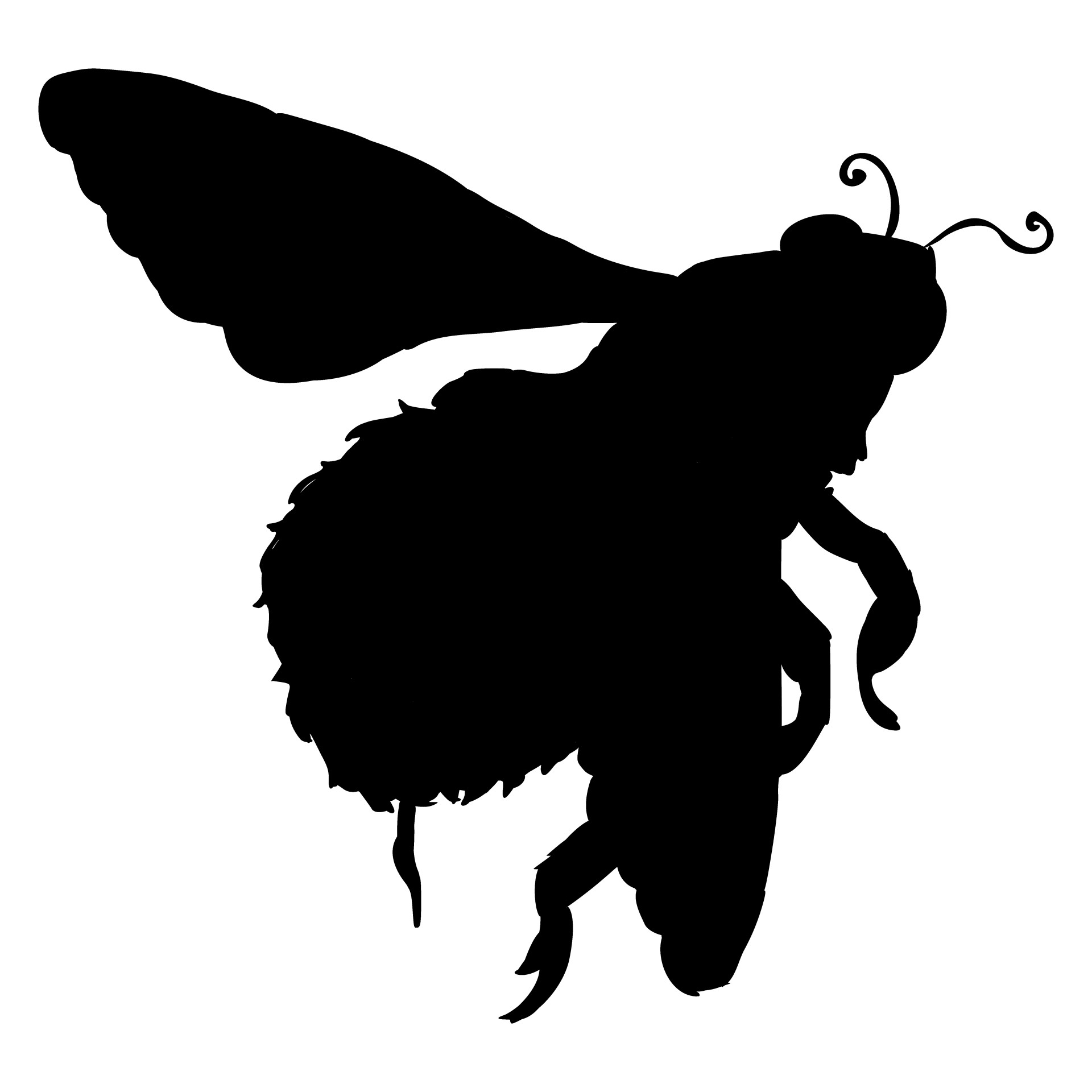 1920x1920 Silhouette Of A Bumble Bee Free Stock Photo