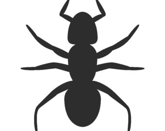 340x270 Bug Clipart Silhouette Many Interesting Cliparts