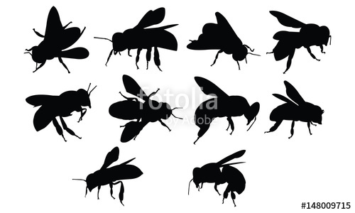 500x300 Bee Silhouette Vector Illustration Stock Image And Royalty Free