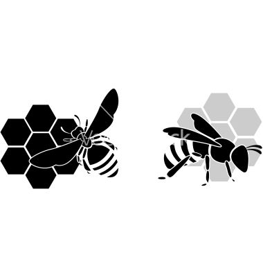 380x400 Pin By Happy Love On Random Images Random