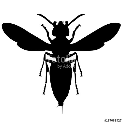 500x500 Wasp Silhouette Vector Graphics Stock Image And Royalty Free