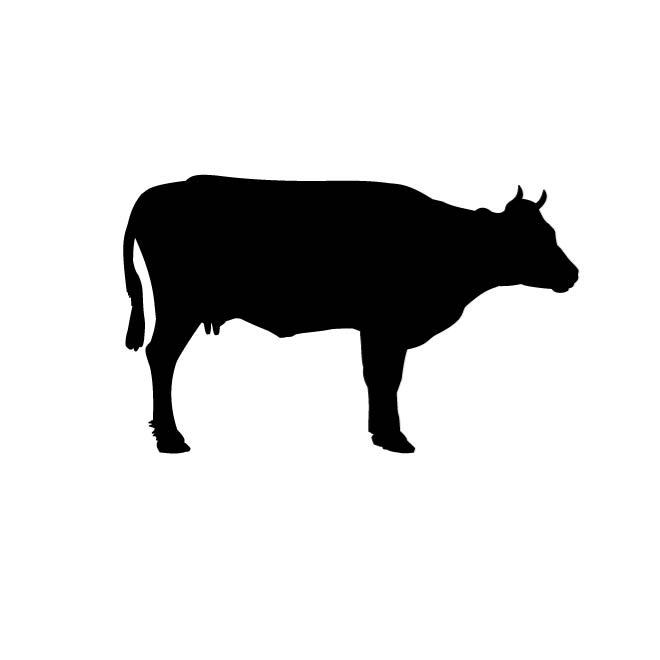 660x660 Cow Clip Art Vector