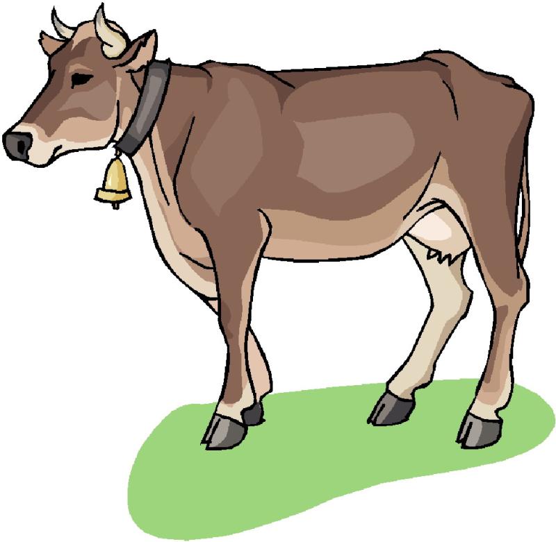 800x781 Beef Cattle Clip Art Related Images