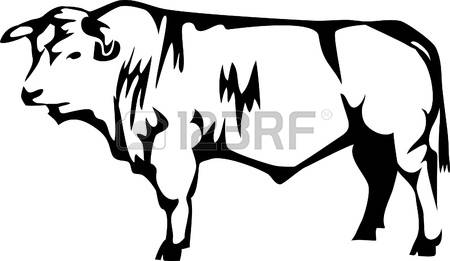 450x261 Beef Breed Clipart