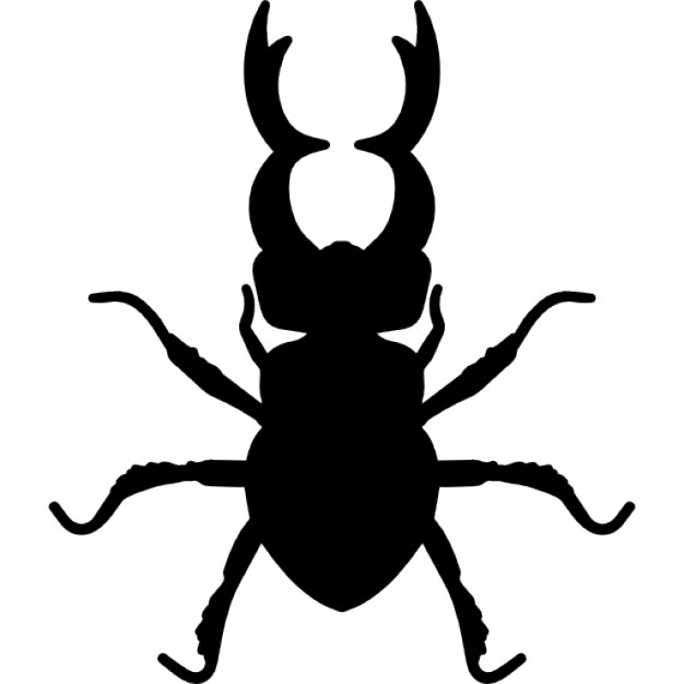626x626 Stag Beetle Insect Animal Shape Icons Free Download