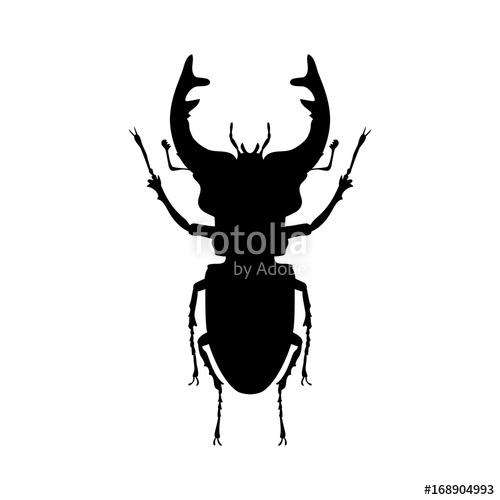 500x500 Stag Beetle Insect Black Silhouette Animal Stock Image