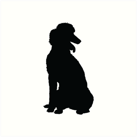 550x550 Poodle Silhouette Art Prints By Maria Bell Redbubble
