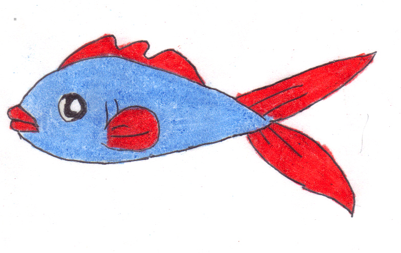 783x495 Betta Clipart Blue Fish