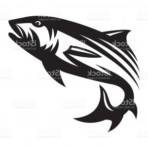 300x300 Stock Illustration Graphic Silhouette Betta Fish Vector