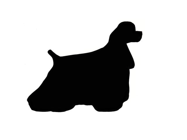 640x480 Can You Identify The Dog Breed By Its Silhouette