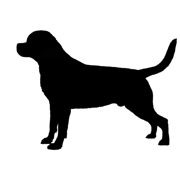 600x600 Rottweiler Silhouette Vinyl Sticker Decal