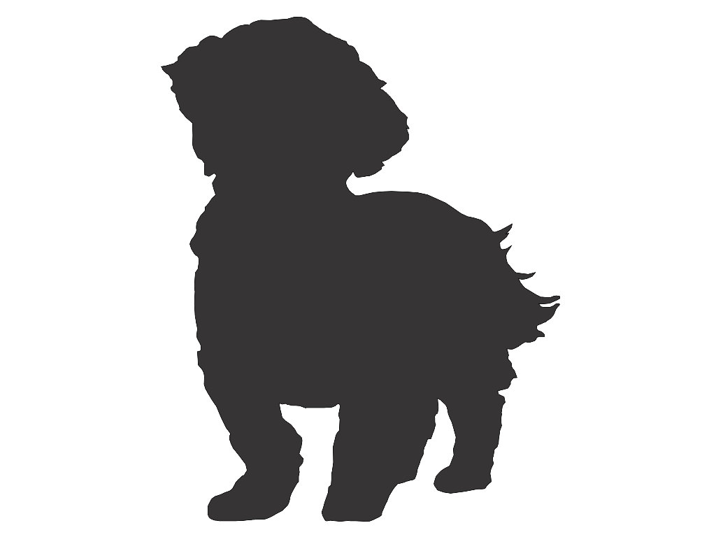 1024x768 Shih Tzu Clipart Lhasa Apso'00263