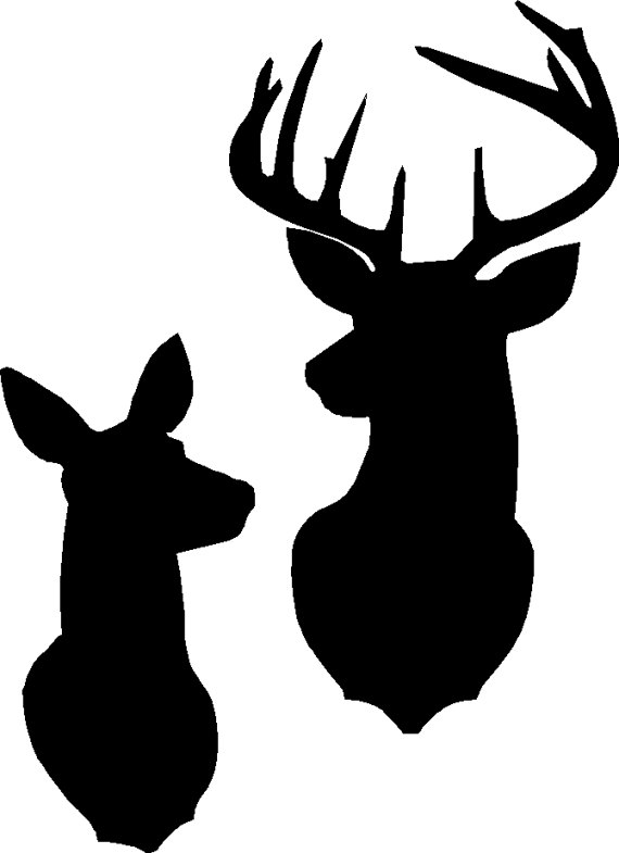 570x785 Buck And Doe Silhouette Stencil Or Decal As Shown In The First