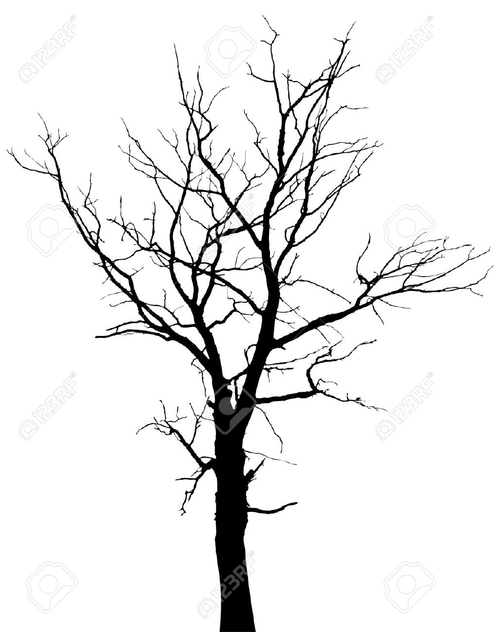 1026x1300 Drawn Dead Tree Big Tree