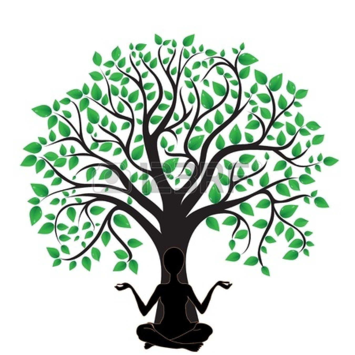 1350x1350 Family Tree Silhouette