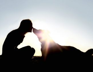 325x250 Five Elements Page 3 Big Tree