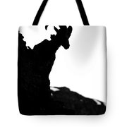 180x180 Bighorn Sheep Silhouette Photograph By Crystal Wightman