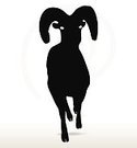 125x135 Big Horn Sheep Silhouette In Face Upward Pose Stock Vectors