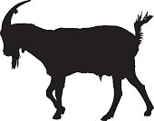 170x134 Goat Silhouette Premium Clipart