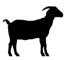 215x195 Goat Silhouette Clip Art. Download Free Versions Of The Image