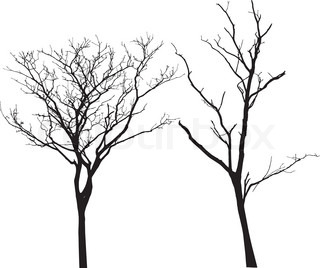 320x268 Vector Black Silhouette Of A Bare Tree Stock Vector Colourbox