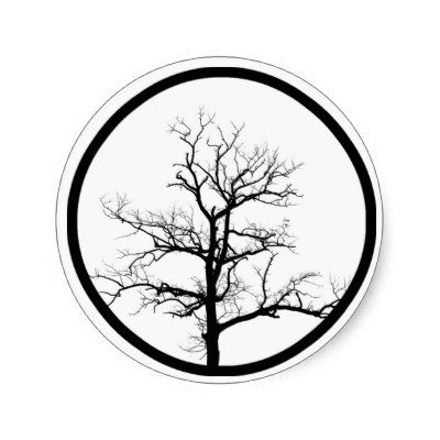 400x400 Birch Tree Silhouette Houseplant Care For Fig Trees Other