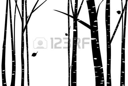 450x302 Tree Silhouette Birch Grove See More