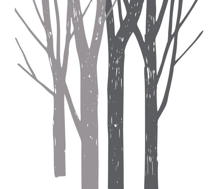 Birch Tree Silhouette Vector at GetDrawings | Free download