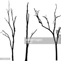 199x199 Vector Black Silhouette Of A Bare Tree Stock Vectors