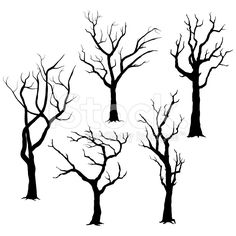236x236 Birch Tree Clipart + Photoshop Brush Tree Clipart And Photoshop