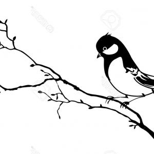 300x300 Photovector Silhouette Of The Birds On Branch Lazttweet