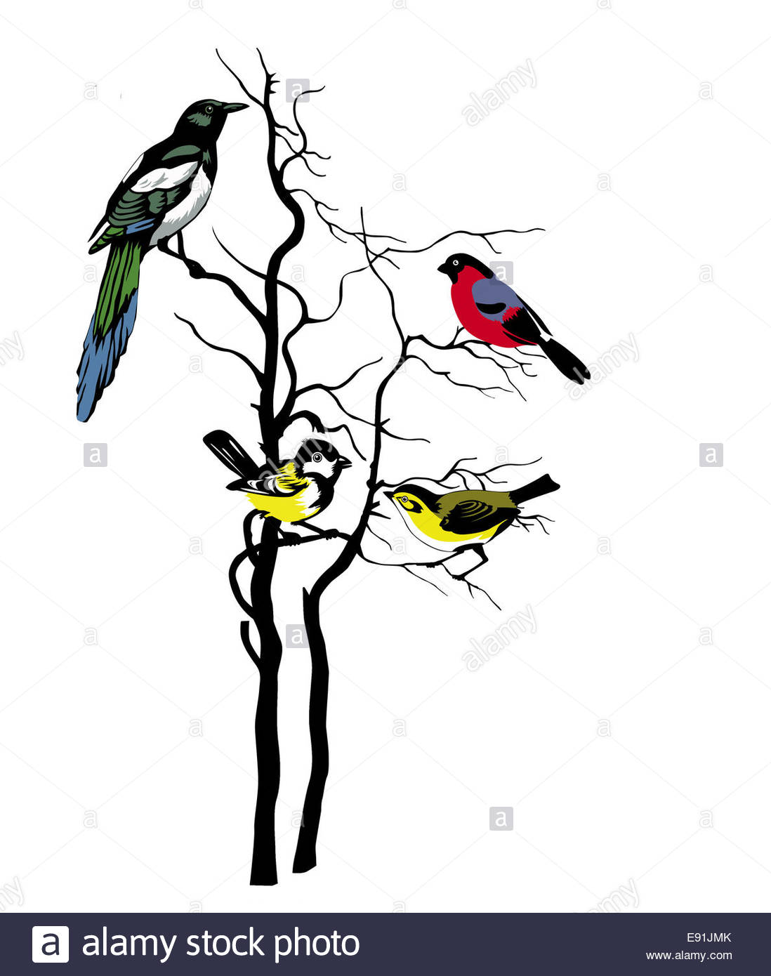 1098x1390 Silhouette Of The Birds On Tree Stock Photo 74410019