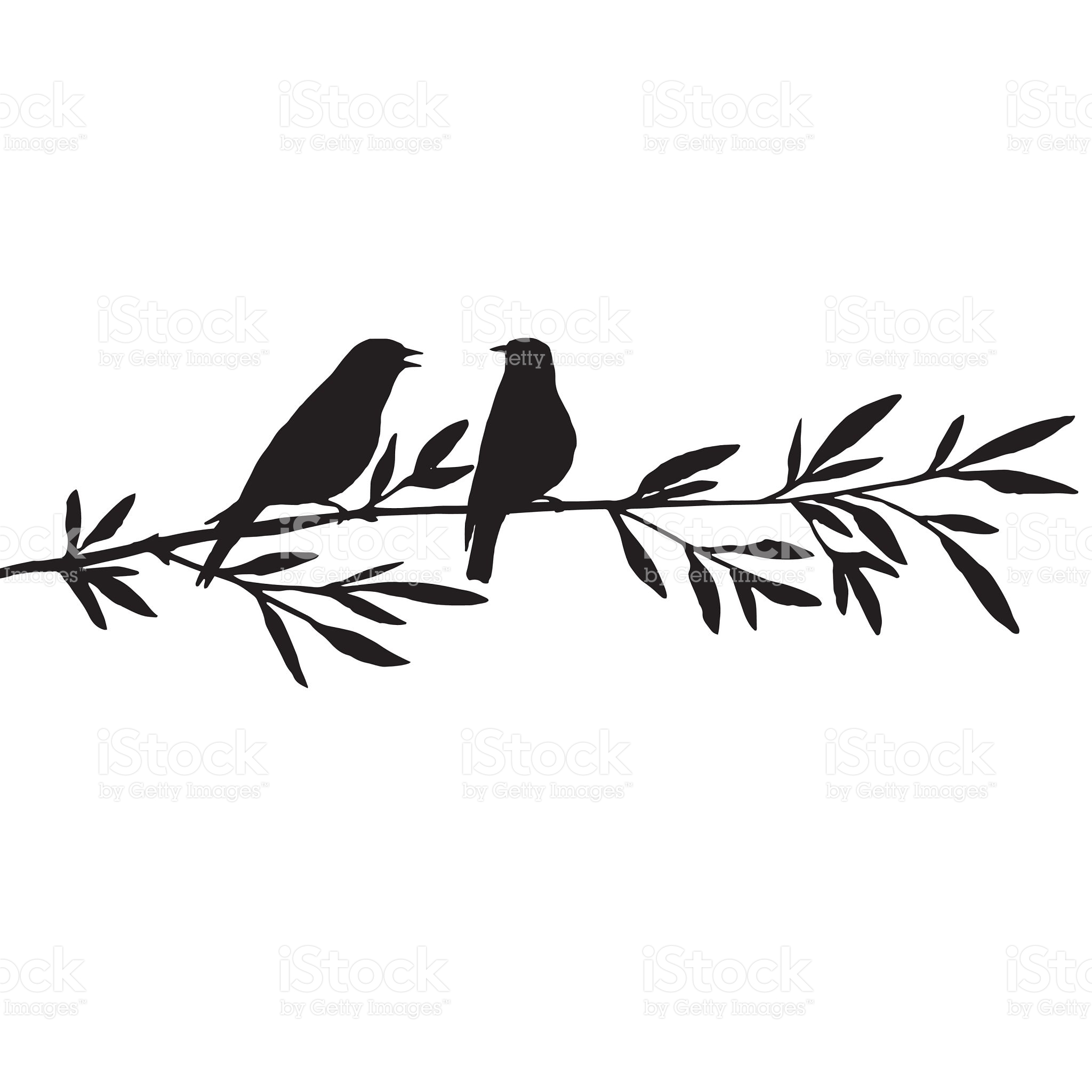 2048x2048 Vector Silhouettes Of Birds
