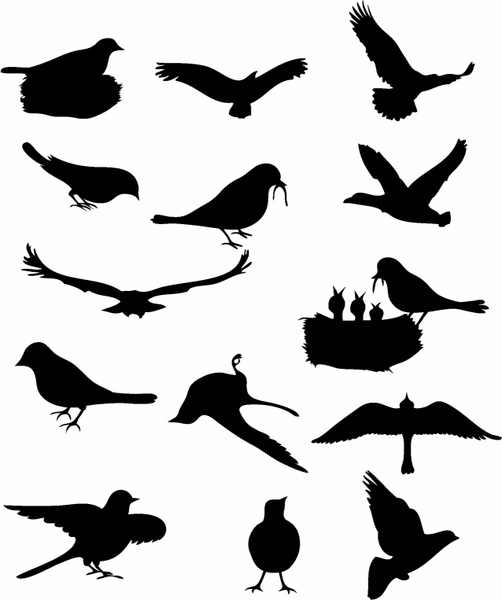 502x600 Birds Flying Free Vector Download (3,766 Free Vector)