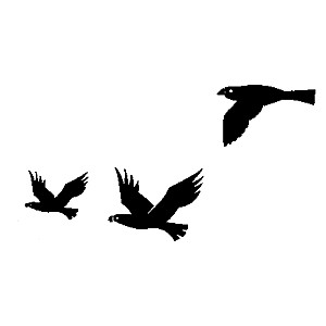 300x300 Clipart Crow Flying Silhouette Collection