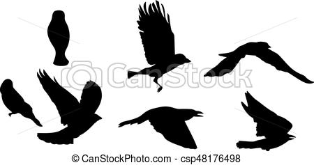 450x237 Black Silhouette Of Bird Flying. Isolated On White Vector Eps