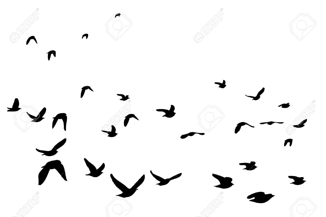 1300x867 To Flying Bird Silhouette Clip Art