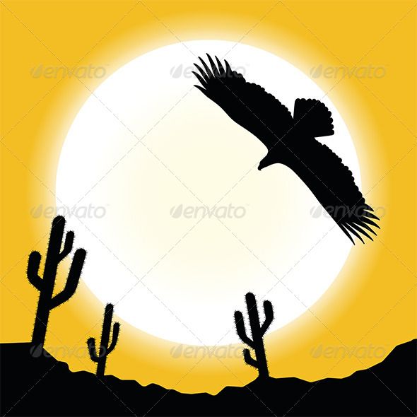 590x590 Desert Sun Landscape Desert Landscape, Animal, Animals Hunting