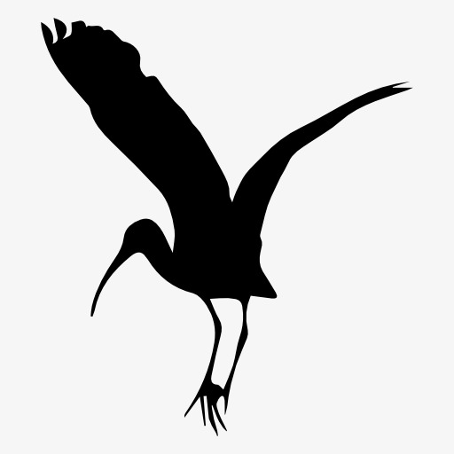 512x512 Silhouette Birds Of Prey, Bird, Flight, Animal Png Image