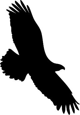 257x370 Chinchilla Silhouette